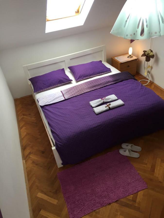 Hostel Lega House أوسييك المظهر الخارجي الصورة